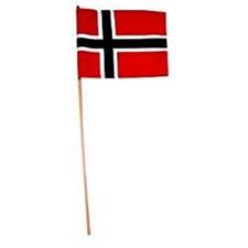 norsk-flagg/-handholdt-20x28-cm