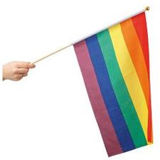 rainbow-hand-flag-30-x-40-cm
