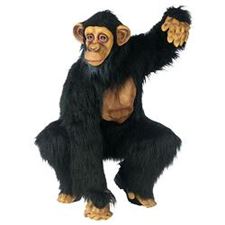 sjimpanse-drakt/-onesize