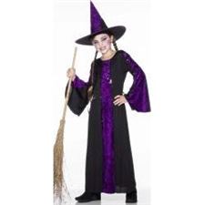 bewitched-costume/purple/black/dress/hat