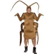 kakkerlakk-kostyme/-one-size