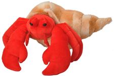 ck-hermit-crab--30-38-cm