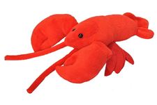 ck-lobster--30-38-cm