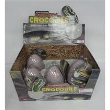 krokodille-jumbo-egg-3-ar+