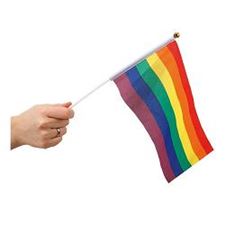 regnbueflagg/-6pk