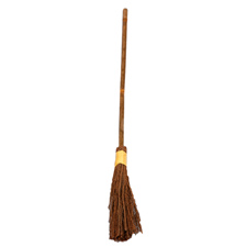 witch-broom