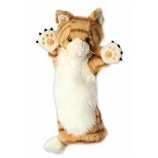 ginger-cat-long-sleeved