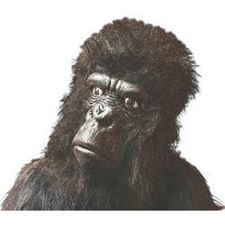 gorillamaske-one-size-ungdom/voksen