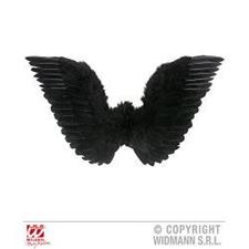 black-feathered-wings--71x-45-cm