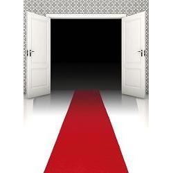 rod loper/red carpet 450 x 60 cm