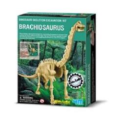 4m/ aktivitetspakke/ brachiosaurus