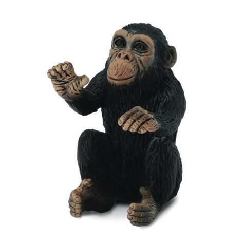 sjimpanse baby   s   88494/gronn