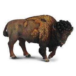 collecta amerikansk bison okse