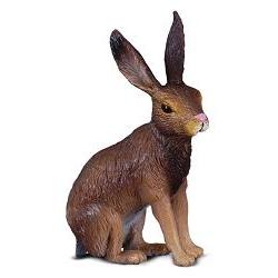 collecta brun hare
