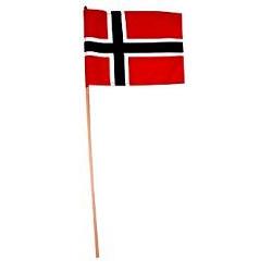 norsk flagg/ handholdt 20x28 cm