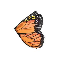 monarch butterfly vinger