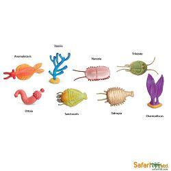 safari toob/ cambrian life