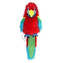 amazon macaw/ large birds