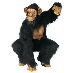 sjimpanse drakt/ onesize