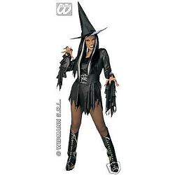 evil witch dress/ belt/ boot covers/ hatstrs