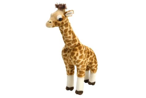 ck giraffe standing 43 cm 43 cm