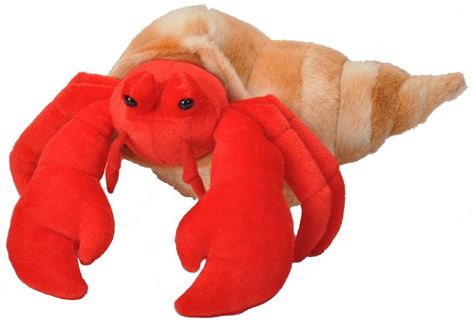 ck hermit crab  30 38 cm