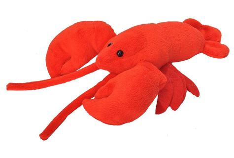ck lobster  30 38 cm