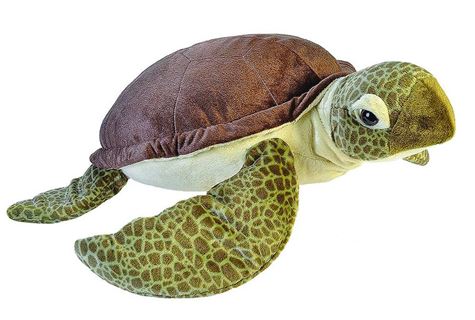 ck jumbo sea turtle 74 cm 76 cm