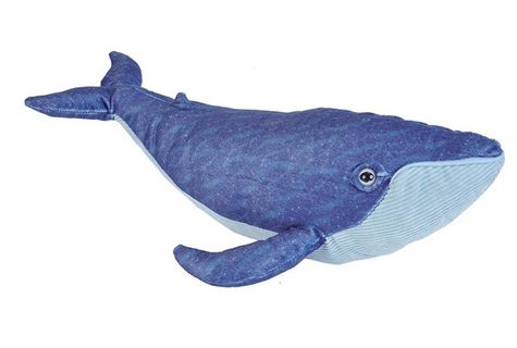 ck blue whale  30 38 cm