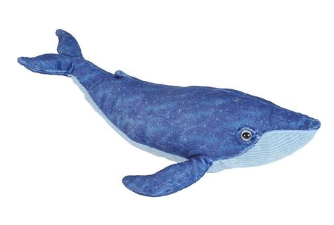 ck mini blue whale   15 30 cm