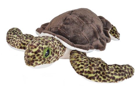 sea turtle 30 38 cm